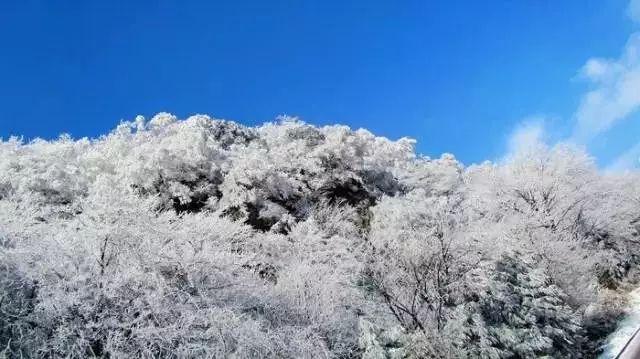 森迪公主快乐的一天