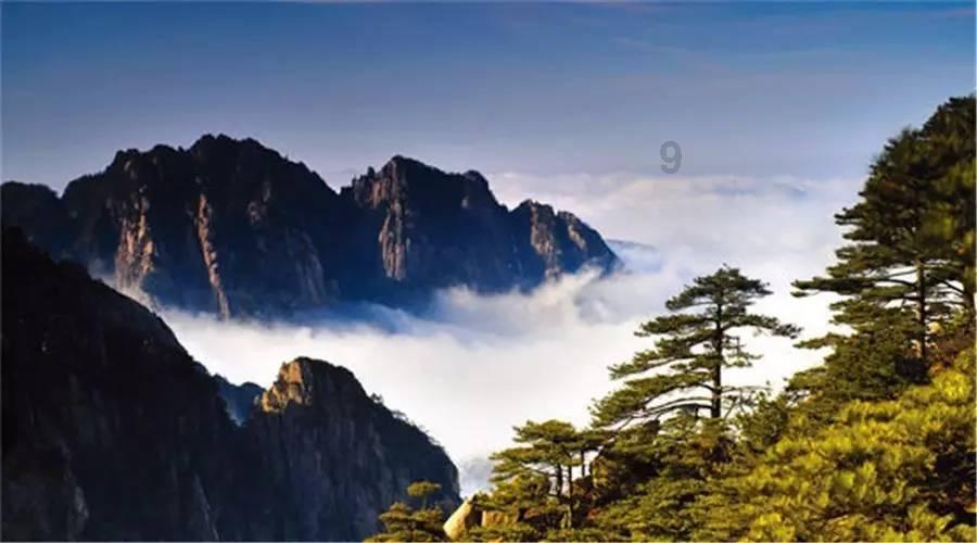 强化社会救助监督 助力兜牢民生底线