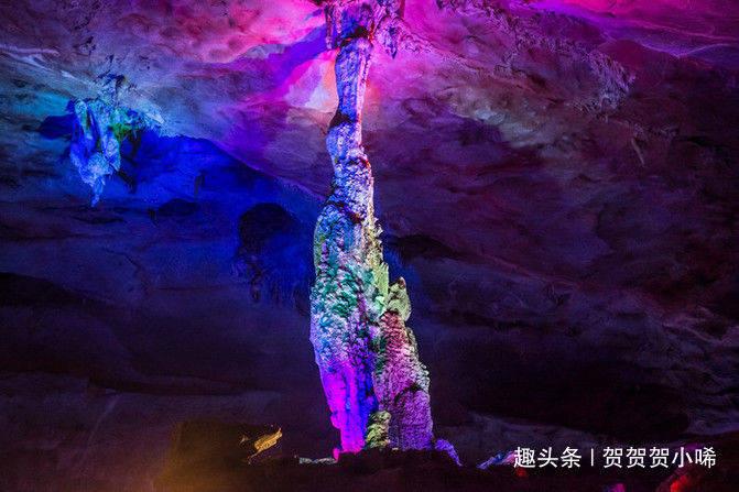 喜讯！临沂市人民医院临床营养科在第一届肿瘤营养技能大赛中夺佳绩