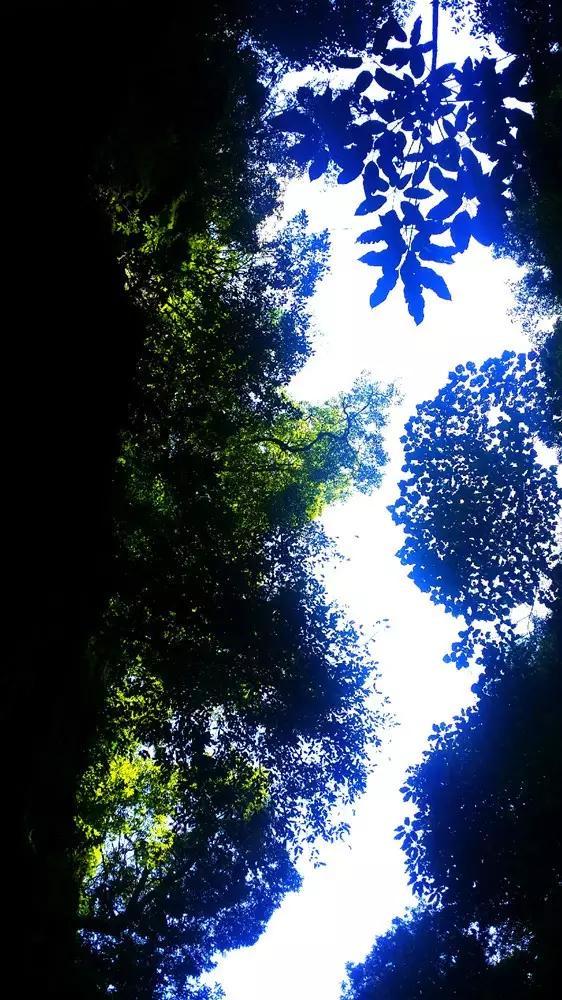 冒险岛2