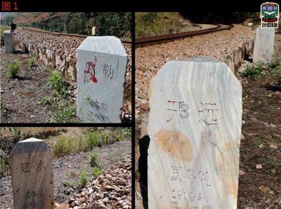 专家提醒:特殊医学用途配方食品这样购买
