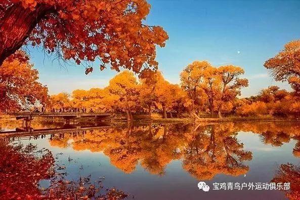 母猫怀孕有什么症状游戏画面