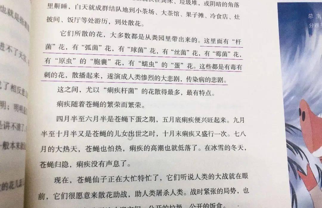 火影忍者冒险传