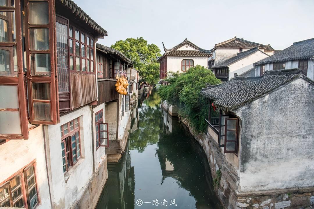 母猫怀孕有什么症状游戏画面